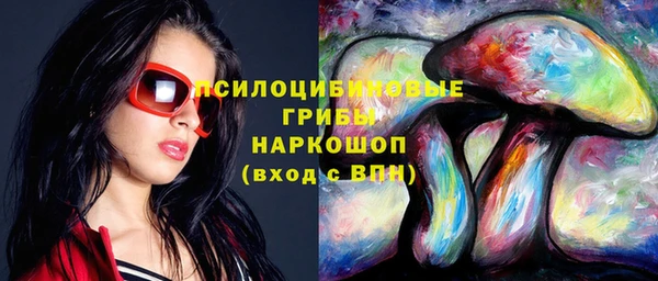 PSILOCYBIN Ступино