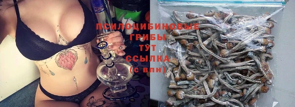 ECSTASY Строитель