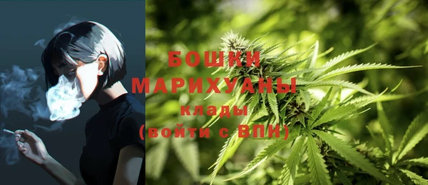 ECSTASY Строитель